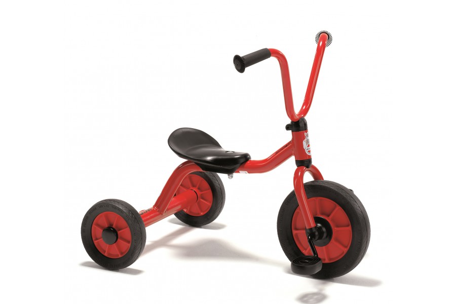 Tricycle pour Enfants 1 à 4 ans D